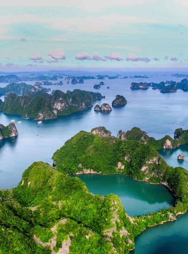 hạ long 1