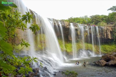 bobla đà lạt