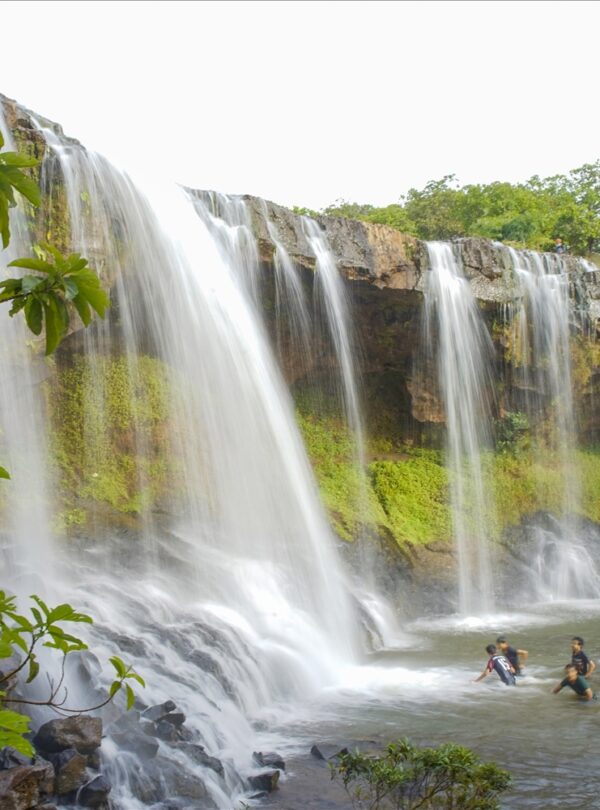 bobla đà lạt