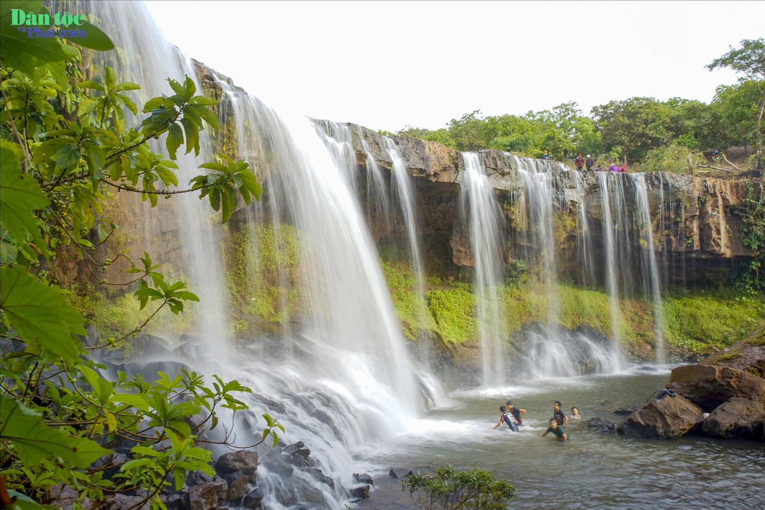 bobla đà lạt