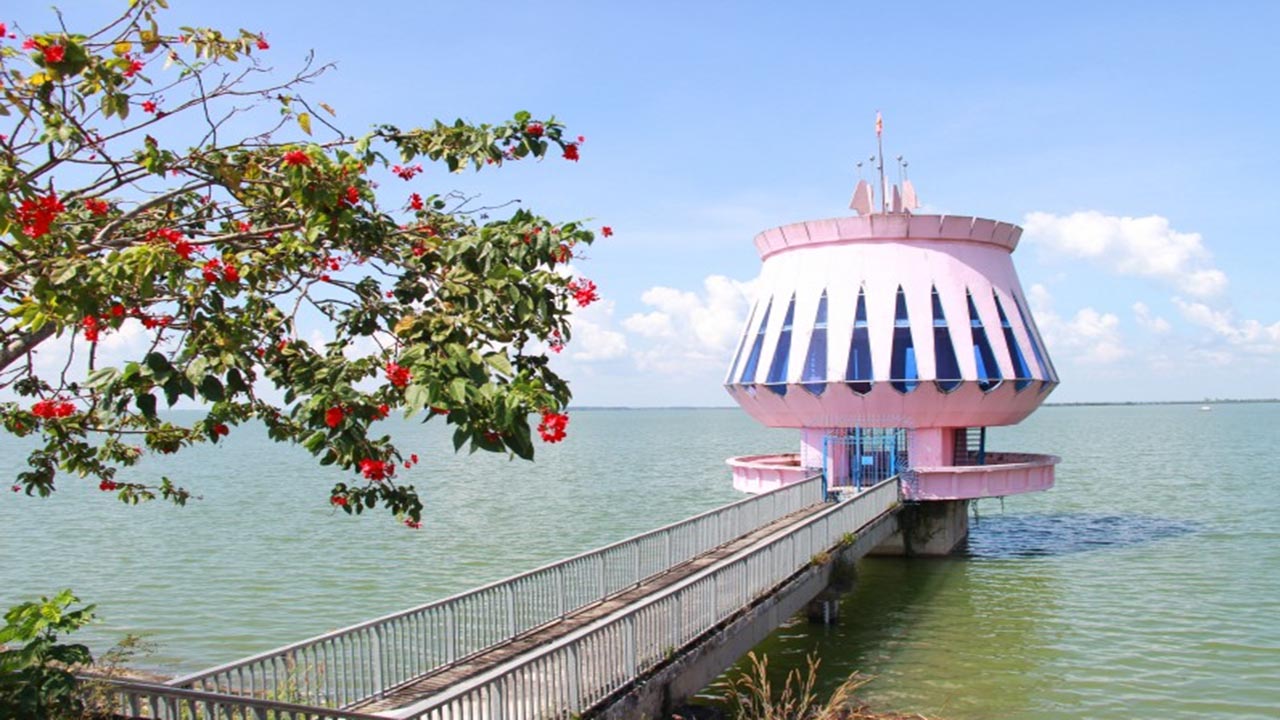 tay ninh